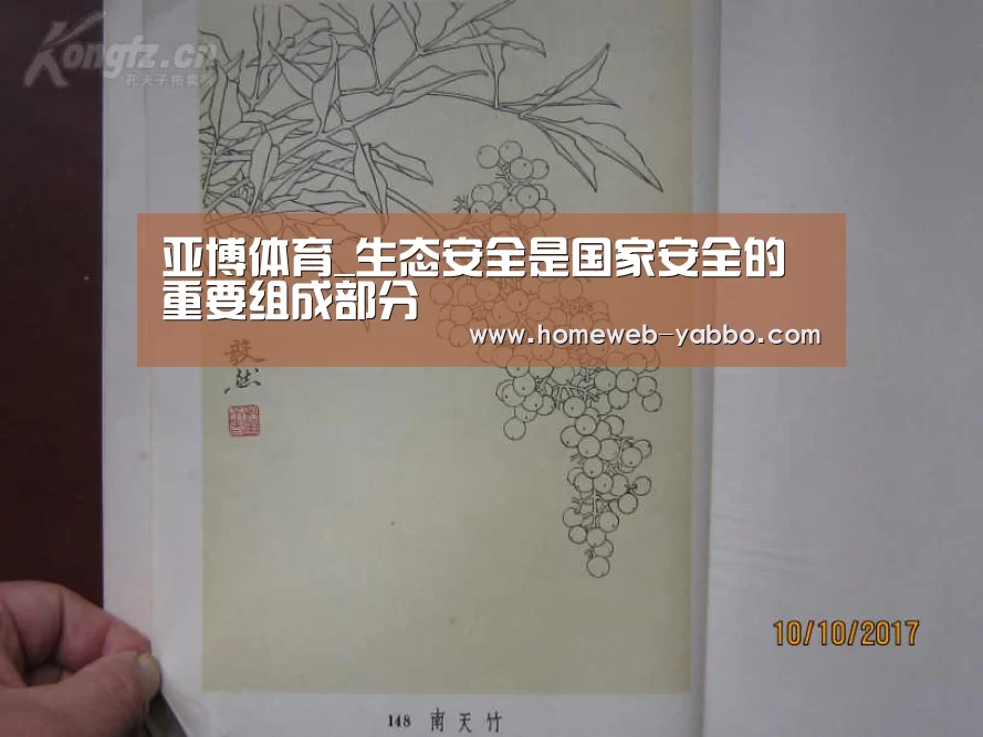 亚博娱乐