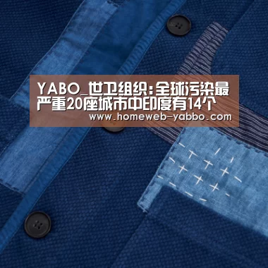 YABO_世卫组织:全球污染最严重20座城市中印度有14个(图2) 亚博官方网站