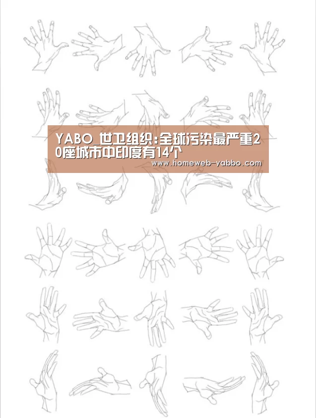 YABO_世卫组织:全球污染最严重20座城市中印度有14个(图3) 亚博体育