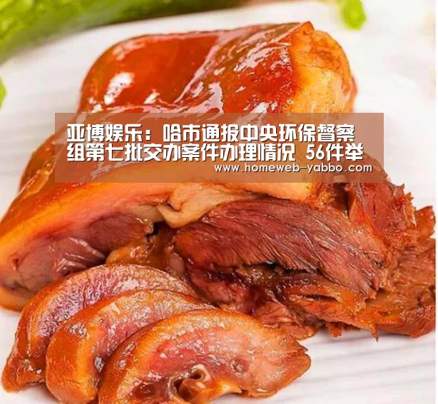 亚博娱乐:哈市通报中央环保督察组第七批交办案件办理情况 56件举报案件全部办结(图3) 亚博官方网站