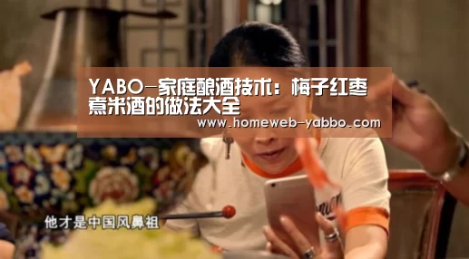 YABO-家庭酿酒技术:梅子红枣煮米酒的做法大全(图1) 亚博体育