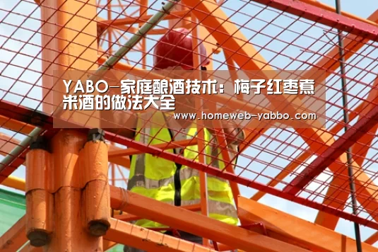 YABO-家庭酿酒技术:梅子红枣煮米酒的做法大全(图4) YABO-家庭酿酒技术:梅子红枣煮米酒的做法大全(图4)