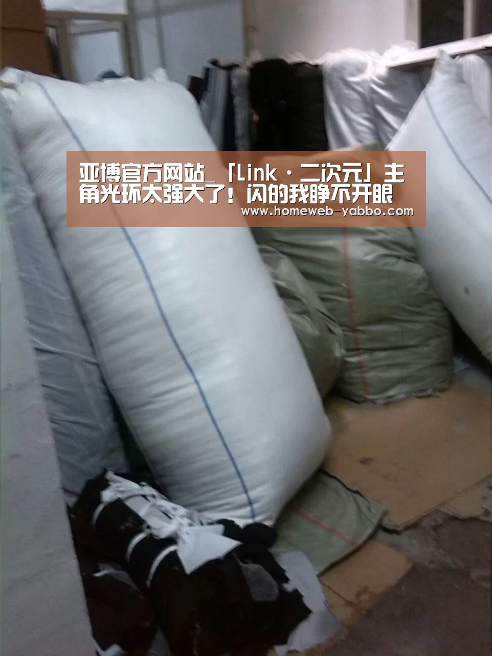 亚博官方网站_「Link·二次元」主角光环太强大了!闪的我睁不开眼(图4) 亚博