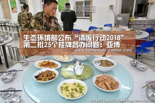 生态环境部公布“清废行动2018” 第二批25个挂牌督办问题：亚博(图2)