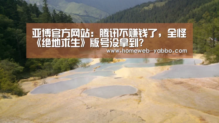 亚博官方网站:腾讯不赚钱了,全怪《绝地求生》版号没拿到?(图2) 亚博官方网站