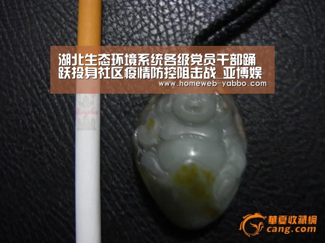 湖北生态环境系统各级党员干部踊跃投身社区疫情防控阻击战_亚博娱乐(图1) 亚博