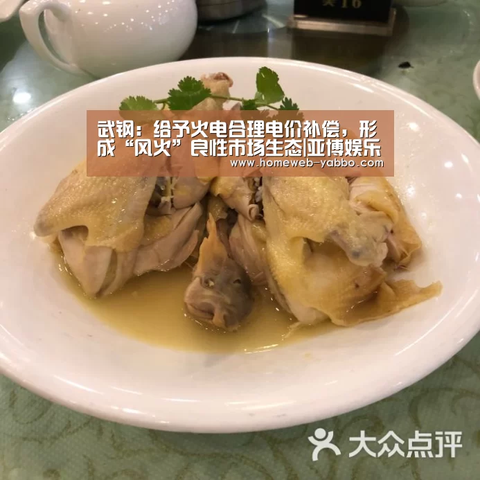 武钢:给予火电合理电价补偿,形成“风火”良性市场生态|亚博娱乐(图3) 亚博官方网站